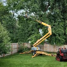Best Landscape Design and Installation  in Barrett, TX