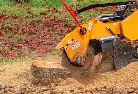 Best Tree Mulching  in Barrett, TX