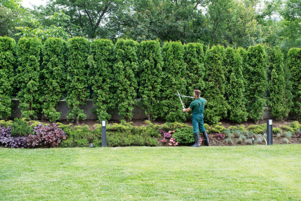 Best Tree Preservation Services  in Barrett, TX