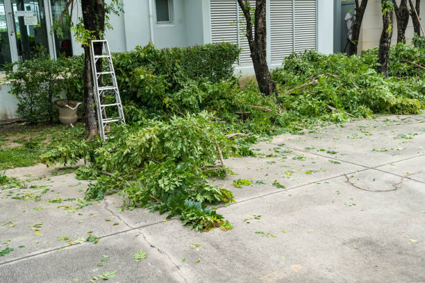 Lawn Watering Services in Barrett, TX